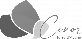 LOGO-final-CINOR-2021
